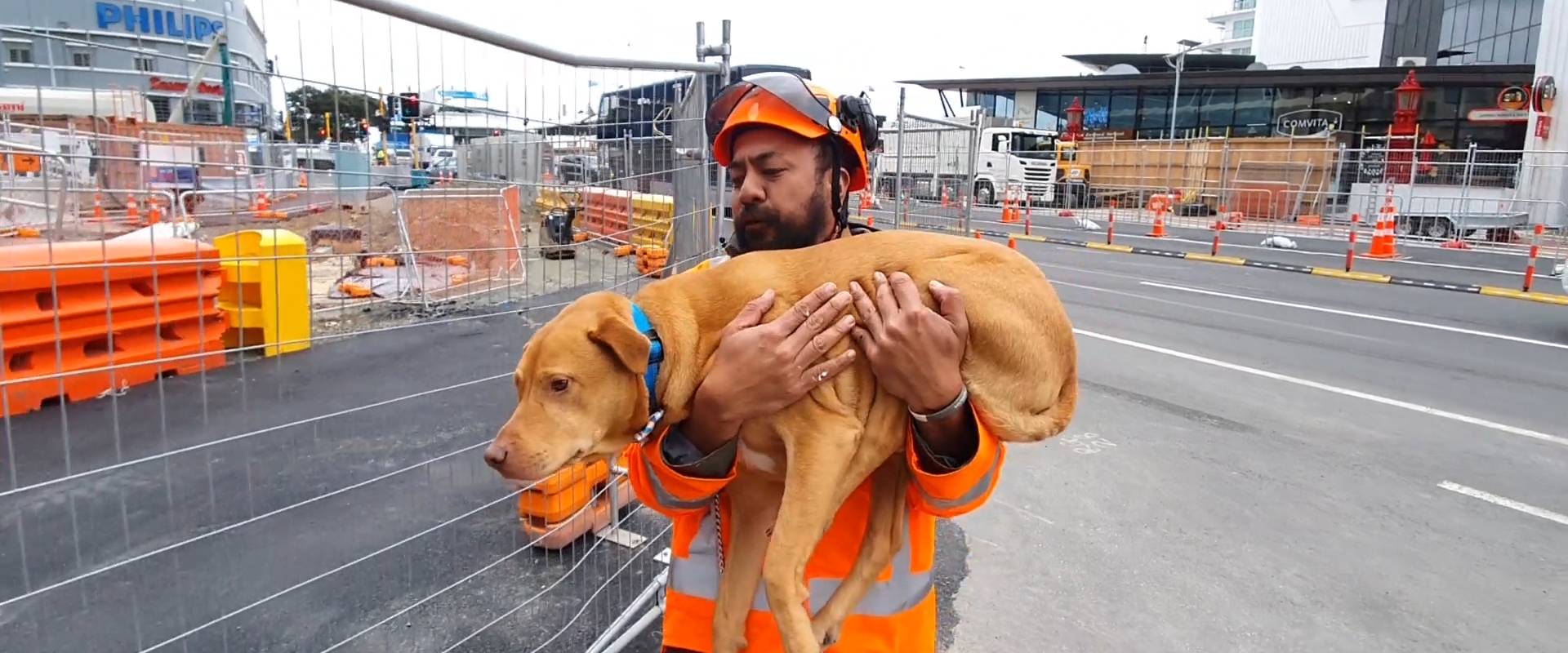 Save Them With Kindness The New NZTA Training and Competency Model