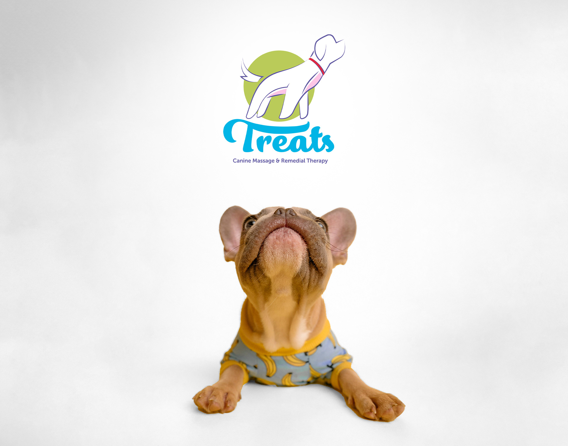 Treats Project